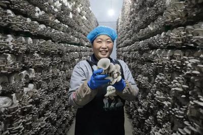走在前 開新局！闖出綠色循環(huán)'大村模式'，引領(lǐng)食用農(nóng)產(chǎn)品高質(zhì)量發(fā)展